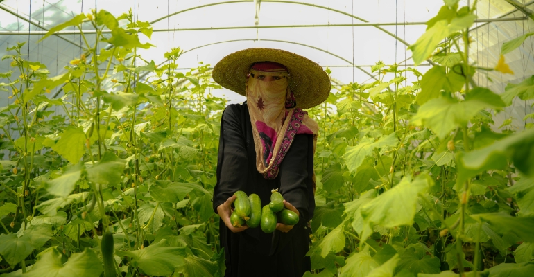 Tawakkol Karman Foundation helps displaced woman harvest first crops from her greenhouse in rural Taiz